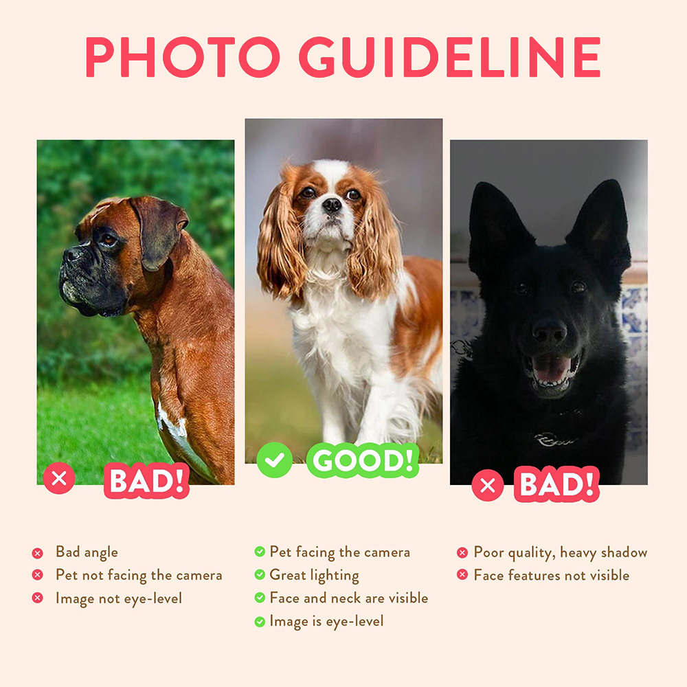 Personalized Pet Portraits Pho - Photograph Lyrics 评论和价格