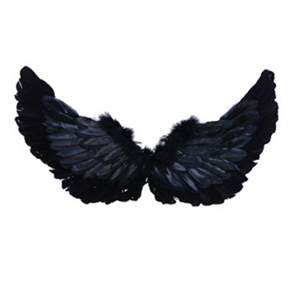 Angel Wings Colorful Feather W - Photography Year 评论和价格